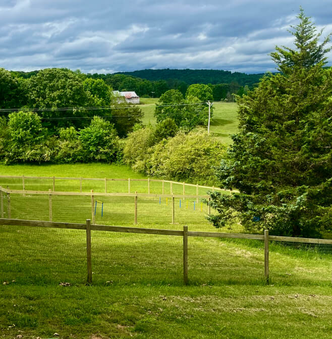 outdoor view of liberty acres dog park in Cleveland Tennessee